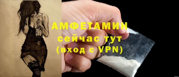 Альфа ПВП Пестово