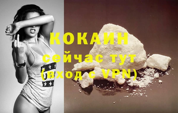 Альфа ПВП Пестово