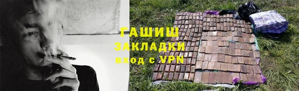 прущие грибы Переславль-Залесский