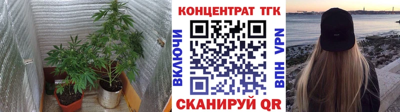 Купить закладки  Котлас  Дистиллят ТГК гашишное масло 